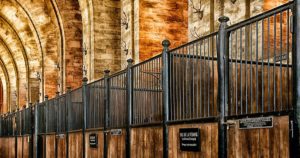 Lire la suite à propos de l’article Le top 10 des fondations abritantes (ou affectataires) en 2019