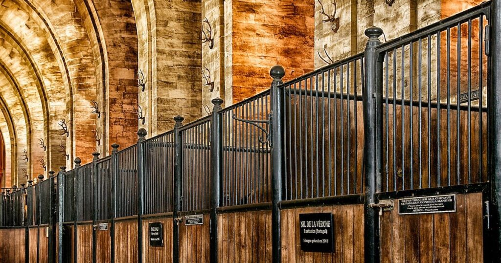 You are currently viewing Le top 10 des fondations abritantes (ou affectataires) en 2019