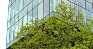 Lire la suite à propos de l’article Qu&rsquo;est-ce que le mécénat d&rsquo;entreprise ? Définition