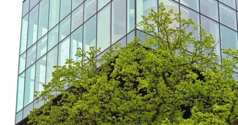 Lire la suite à propos de l’article Qu&rsquo;est-ce que le mécénat d&rsquo;entreprise ? Définition