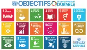 Lire la suite à propos de l’article Les 17 objectifs du développement durable des Nations Unies et leurs déclinaisons