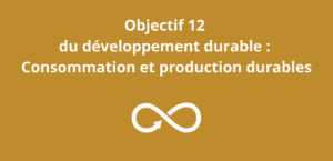 Lire la suite à propos de l’article Objectif 12 du développement durable : Consommation et production durables