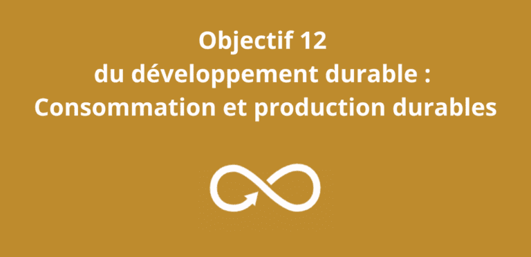 Lire la suite à propos de l’article Objectif 12 du développement durable : Consommation et production durables