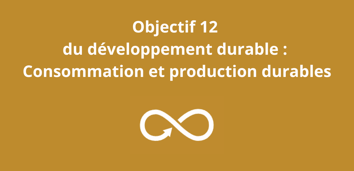 You are currently viewing Objectif 12 du développement durable : Consommation et production durables