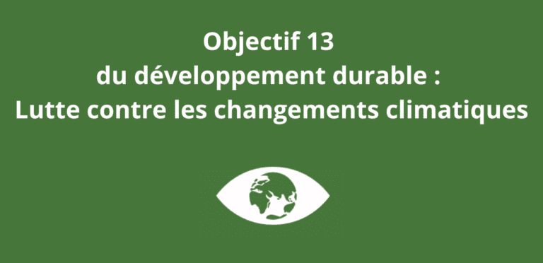 Lire la suite à propos de l’article Objectif 13 du développement durable : Lutte contre les changements climatiques