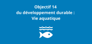 Lire la suite à propos de l’article Objectif 14 du développement durable : Vie aquatique