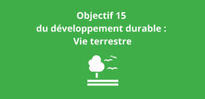 Lire la suite à propos de l’article Objectif 15 du développement durable : Vie terrestre