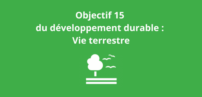 Lire la suite à propos de l’article Objectif 15 du développement durable : Vie terrestre