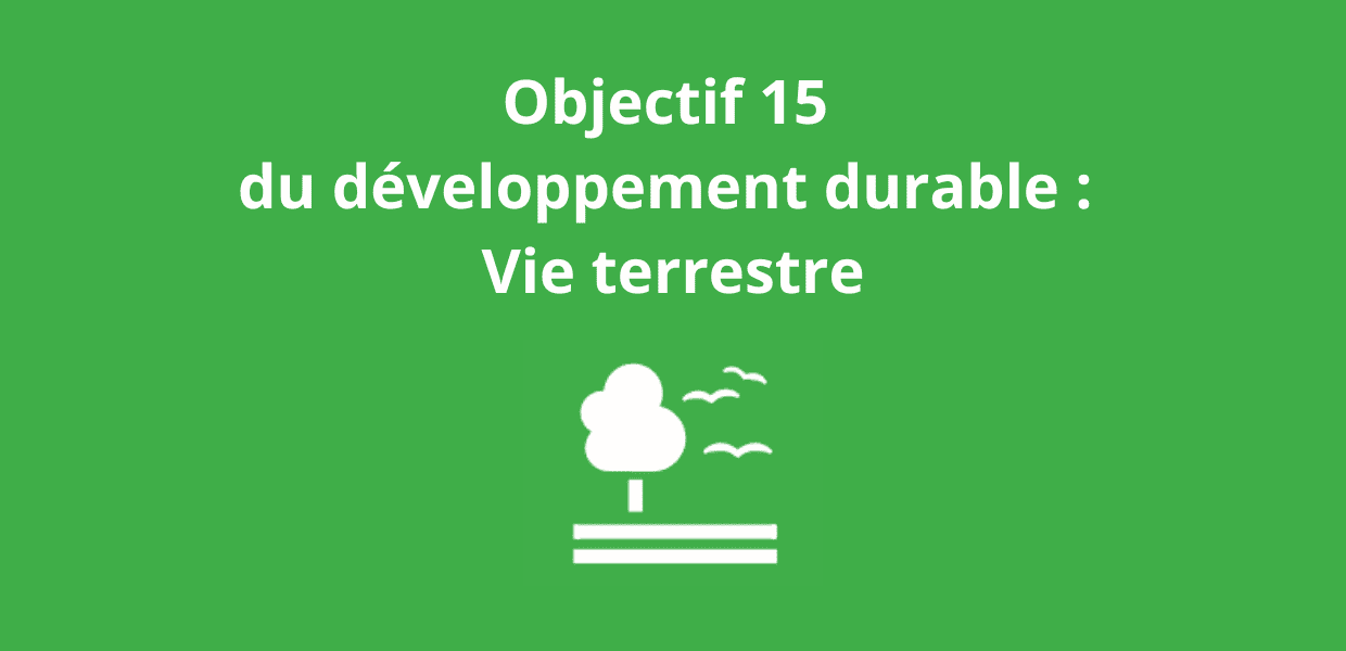 You are currently viewing Objectif 15 du développement durable : Vie terrestre