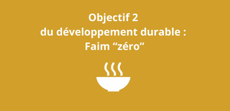 Lire la suite à propos de l’article Objectif 2 du développement durable : Faim “zéro”