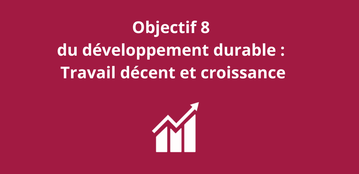 You are currently viewing Objectif 8 du développement durable : Travail décent et croissance